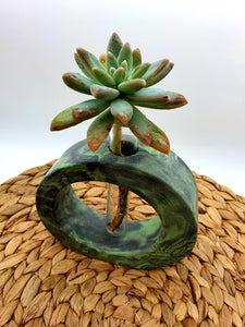 Propagation Vase - Oval