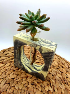 Propagation Vase - Square