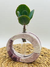 Load image into Gallery viewer, Propagation Vase - Oval
