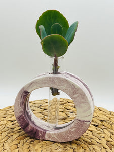 Propagation Vase - Oval